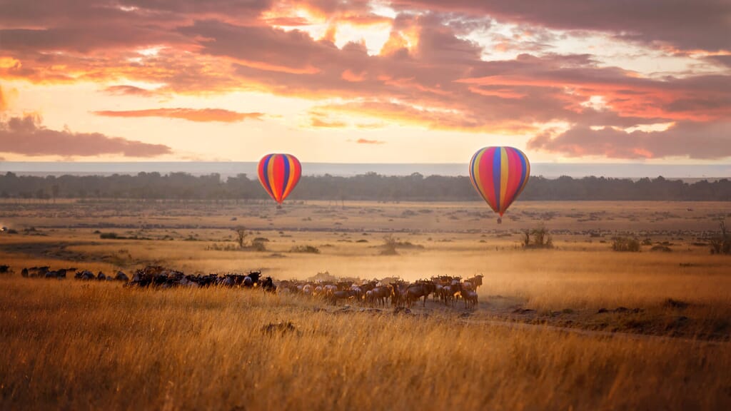 Kenya Tanzania experiences hot air balloon wildebeest family safari