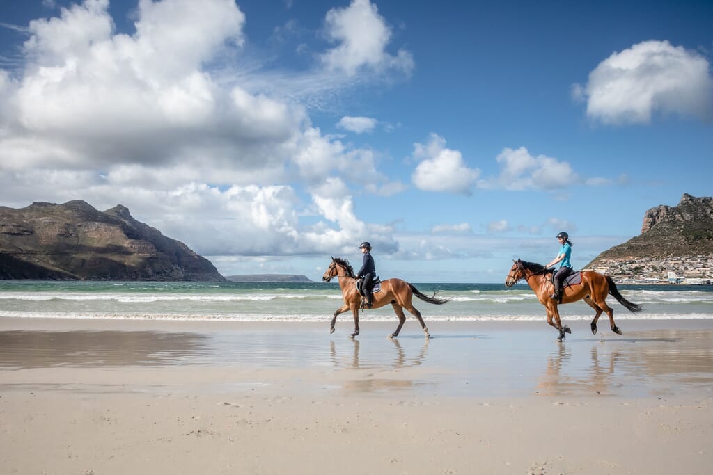 South Africa family safari holiday Cape Town