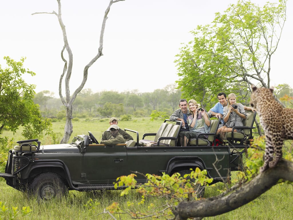 South Africa family safari holiday Kruger Sabi Sands