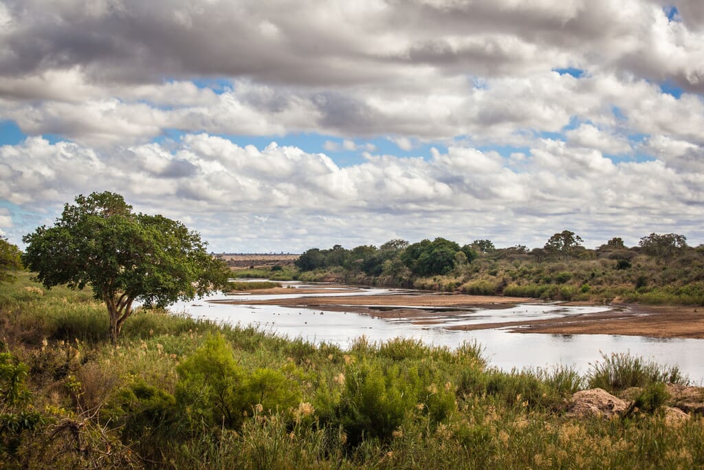 South Africa family safari holiday Kruger Sabi Sands