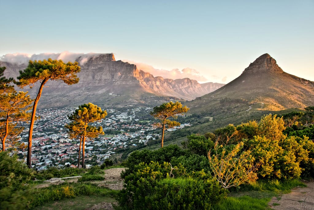 South Africa family safari holiday Cape Town