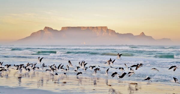 South Africa family safari holiday Cape Town