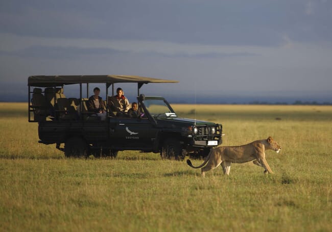 Tanzania game drive cheetah Grumeti