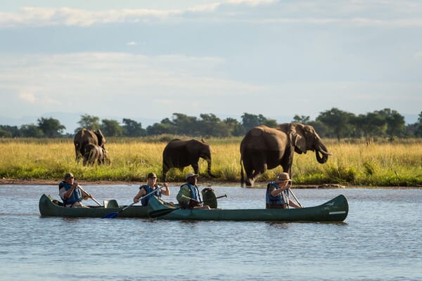 Zimbabwe Luxury Family Safaris