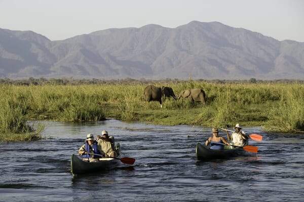 Zimbabwe Luxury Family Safaris