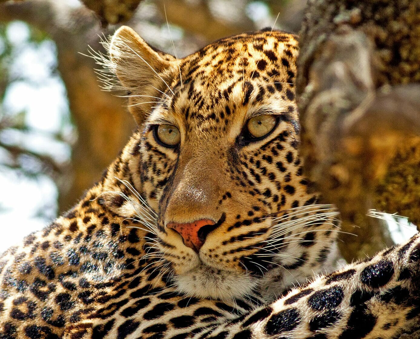 shutterstock_117461182-e1613048423294