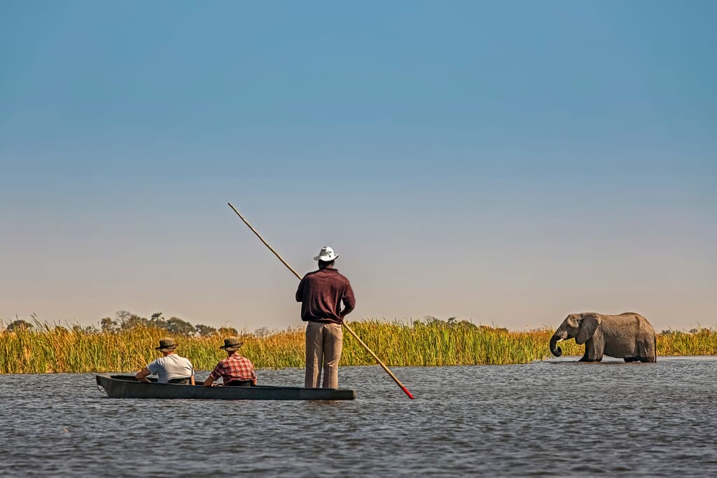 Botswana Okavango Delta mokoro elephant landscape boat safaris