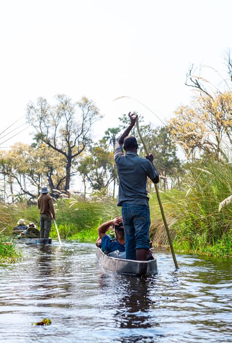 Botswana Okavango delta mokoro boat safaris