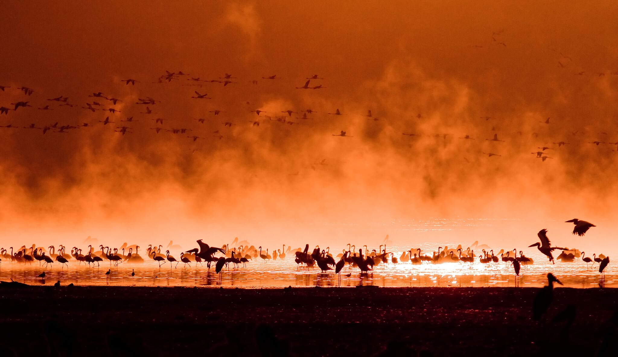 Kenya flamingoes sunset lake Rift Valley family safari