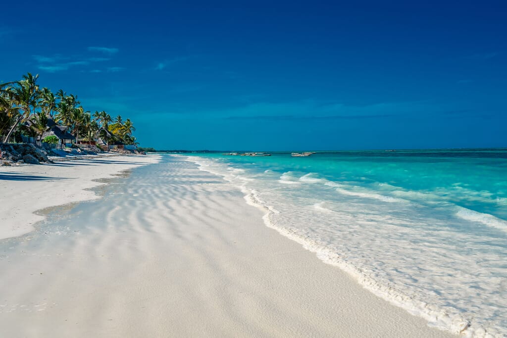 Tanzania zanzibar beach palm family safari beach Tanzania zanzibar beach palm family safari beach