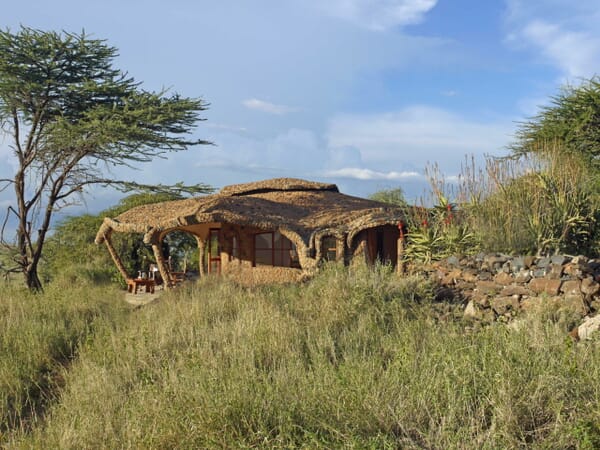 Kenya Lewa House family safari