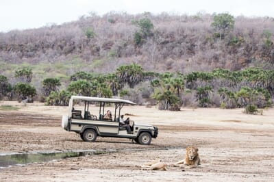 Tanzania Nyerere Sand Rivers Selous family safari game drive