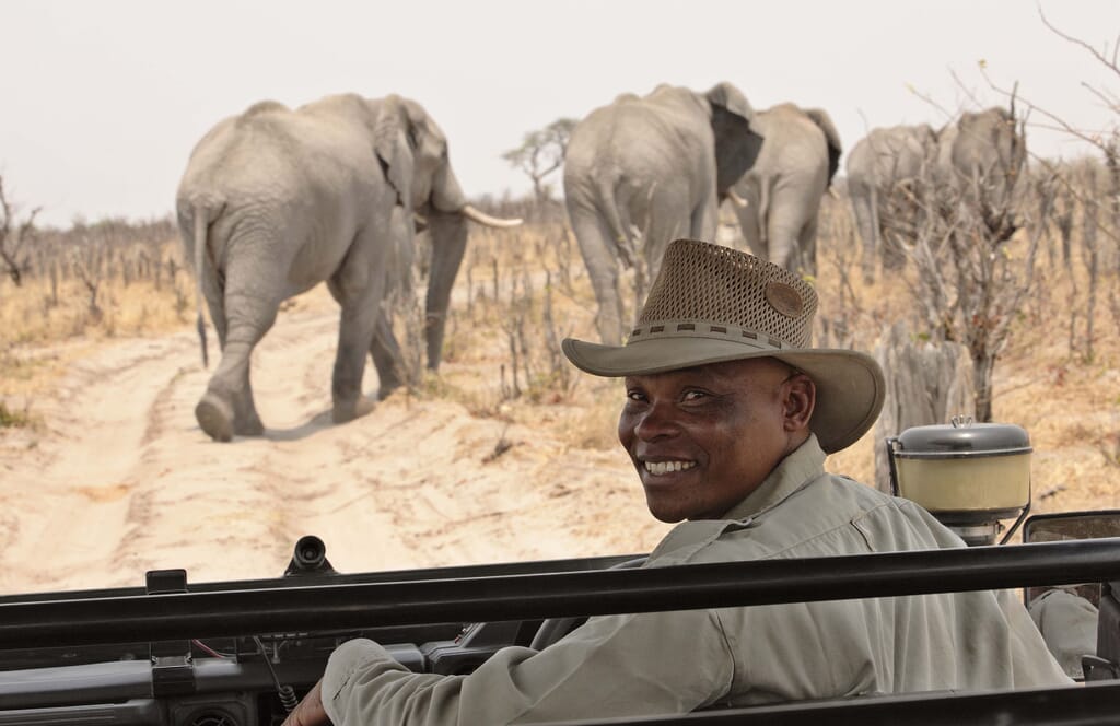 Botswana private guide elephants family safari