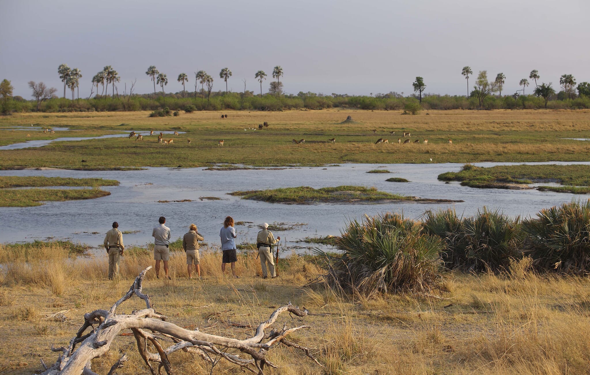 Botswana Okavango Delta Sandibe walking safari family