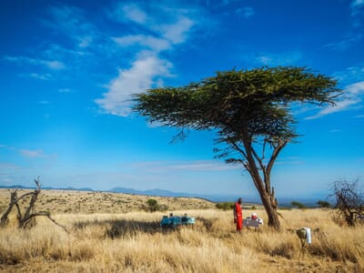 Kenya Lewa House game drive family safari