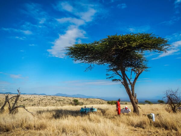 Kenya Lewa House game drive family safari