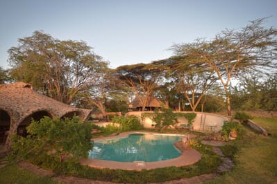 Kenya Lewa House pool guest area family safari