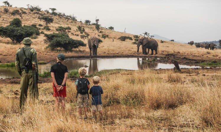 Kenya Lewa House walking safari family elephant