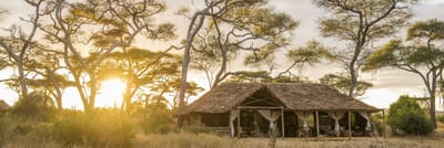 Tanzania Kuro Tarangire family safari