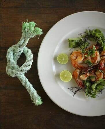 Tanzania Zanzibar Mnemba family safari seafood