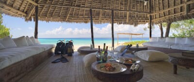 Tanzania Zanzibar Mnemba family safari dive centre