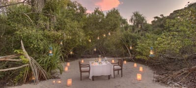 Tanzania Zanzibar Mnemba family safari forest dining