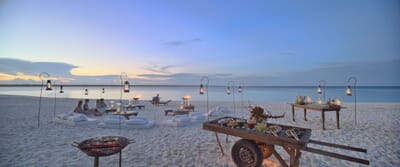 Tanzania Zanzibar Mnemba family safari beach barbecue