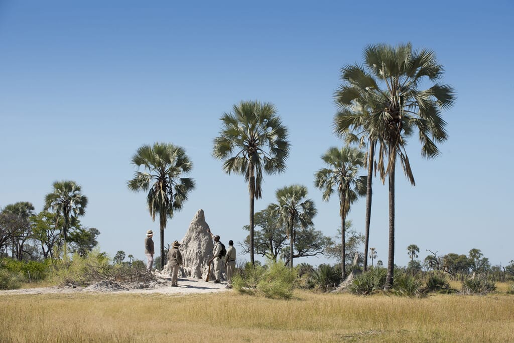 Botswana Nxabega Okavango Delta andBeyond