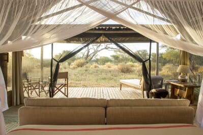 Tanzania Kuro Tarangire family safari