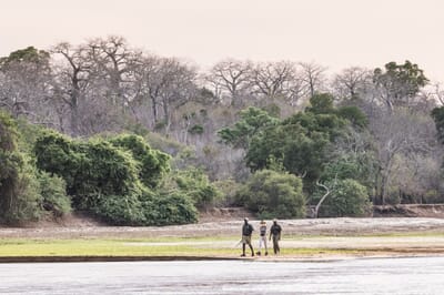 Tanzania Nyerere Sand Rivers Selous family safari walking