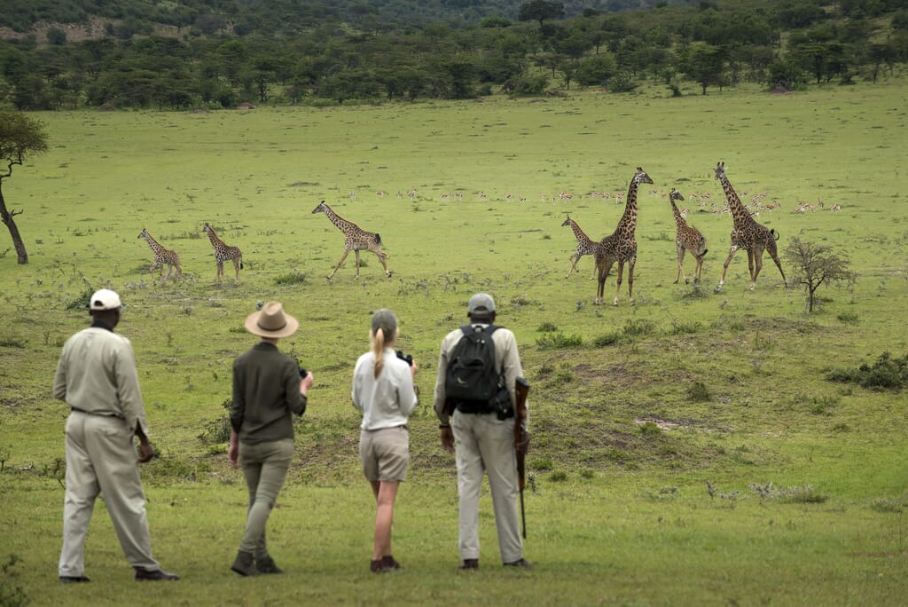 Tanzania Serengeti Kleins Camp andbeyond walking family safari