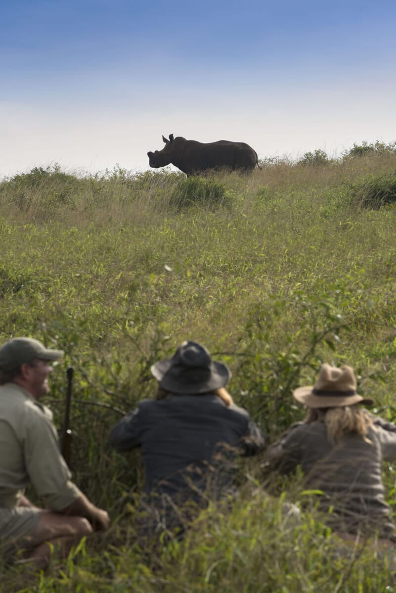 Walking-safaris-with-andBeyond-Phinda-Private-Game-Reserve-1-scaled