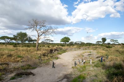 Tanzania Kuro Tarangire family safari