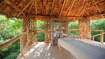 Tanzania Lake Manyara Tree Lodge family safari