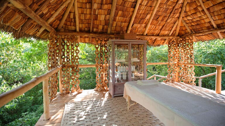 Tanzania Lake Manyara Tree Lodge family safari