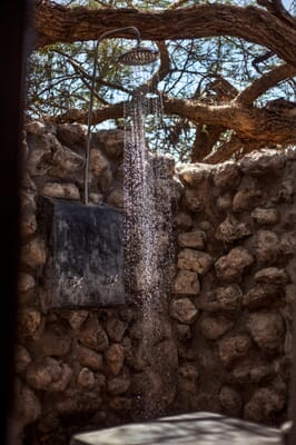 Tanzania Tarangire Manyara Chem Chem family safari