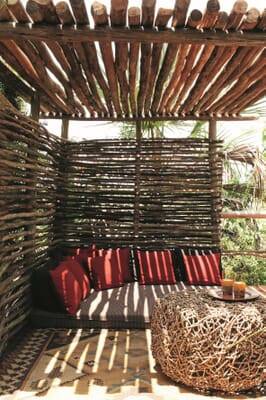 Tanzania Tarangire Manyara Chem Chem family safari