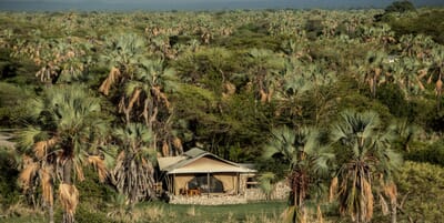 Tanzania Tarangire Manyara Chem Chem family safari