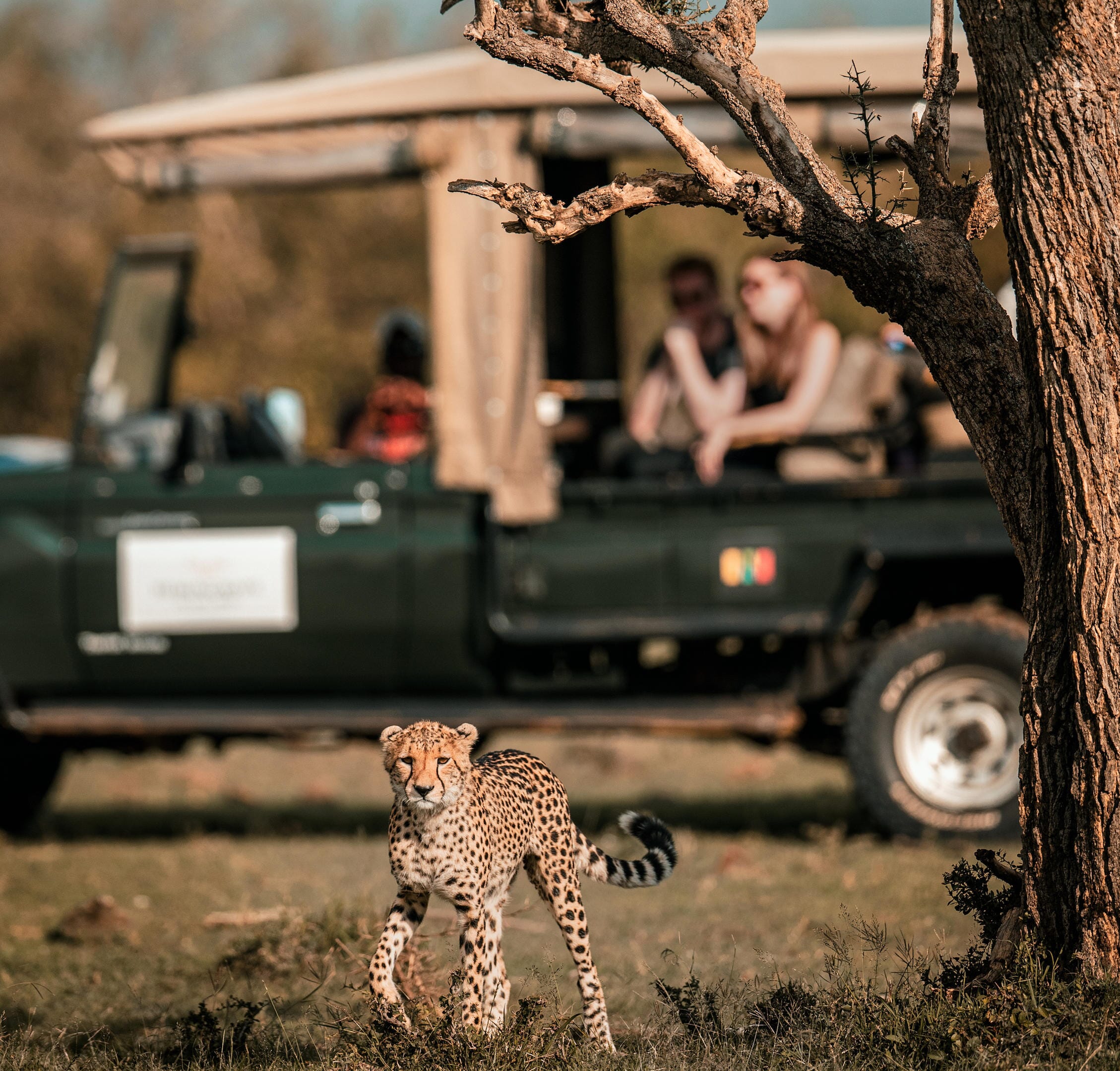 Activities-1.jpg?w=1024&h=980&scale