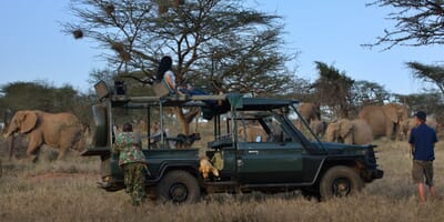Kenya Laikipia Ol Malo Lodge family safari