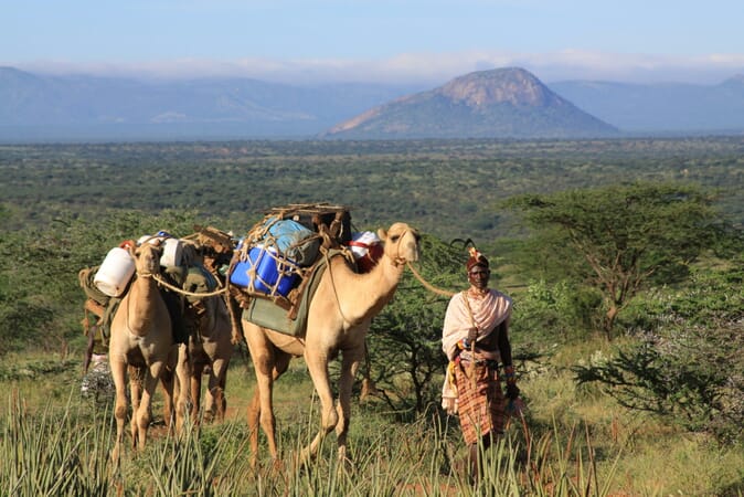 Kenya Laikipia Sarara family safari