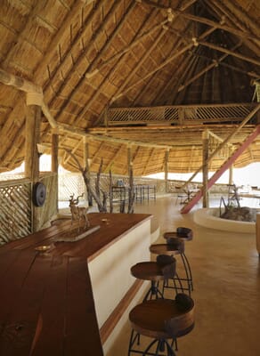 Tanzania Ruaha Ikuka family safari