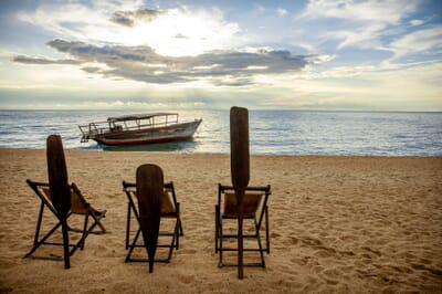 Tanzania Greystoke Mahale family safari