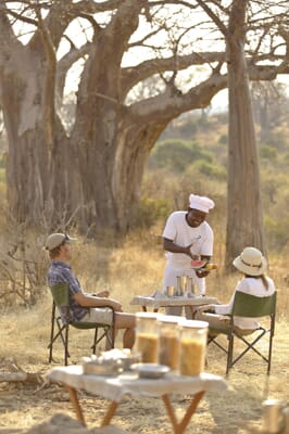 Tanzania Ruaha Ikuka family safari