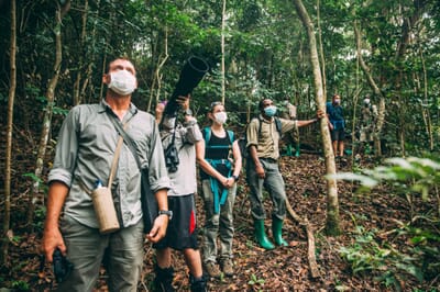 Tanzania Greystoke Mahale family safari