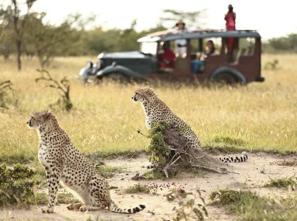 Kenya Masai Mara Cottar's 1920s family safari