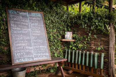 Tanzania Ngorongoro Gibb's Farm family safari