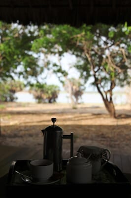 Tanzania Nyerere Siwandu family safari