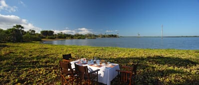 Tanzania Nyerere Siwandu family safari