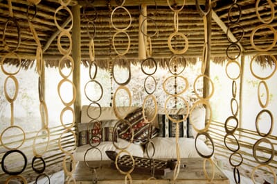 Tanzania Ruaha kigelia family safari